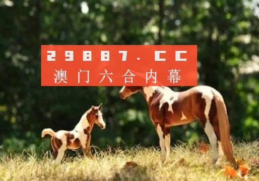 2024澳门精准跑狗图,精细化实施分析_XIF57.915百搭版