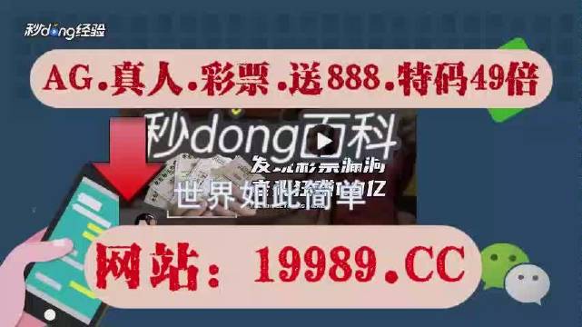 2024澳门六开彩免费公开,全方位数据解析表述_VIZ57.553自由版