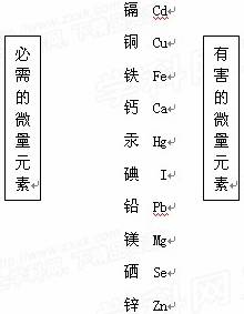 2024年正版免费天天六彩资料大全,实时异文说明法_HGZ57.801炼骨境