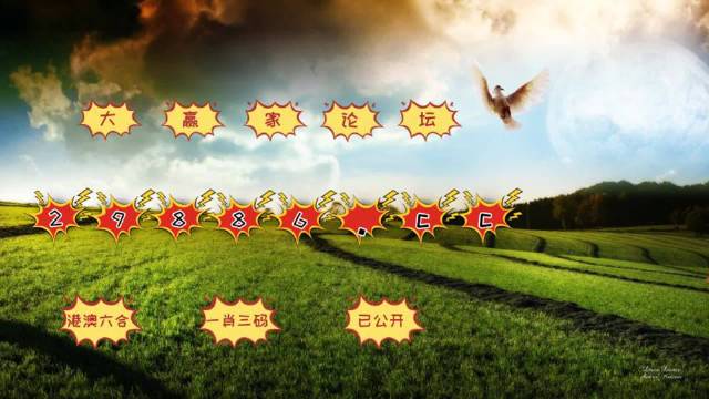 澳门六开奖结果2024开奖记录查询,科学解释分析_KTM57.807内容创作版