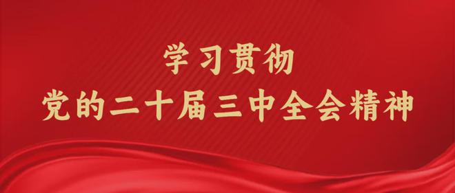 2024新澳门正版资料免费大全,福彩公益网,经典案例解释定义_kit11.824-7