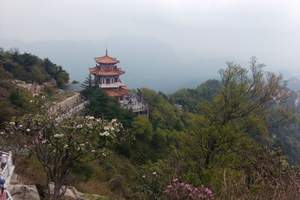 白云山最新动态更新