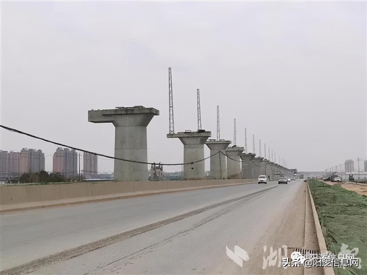 阳逻最新招聘信息揭秘，小巷中的独特机会等你来探索！
