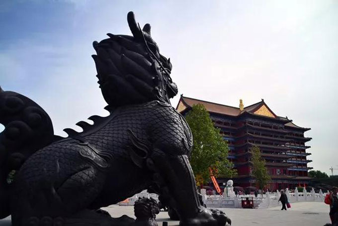 麒麟最新之旅，探索自然美景的鼓舞人心之旅
