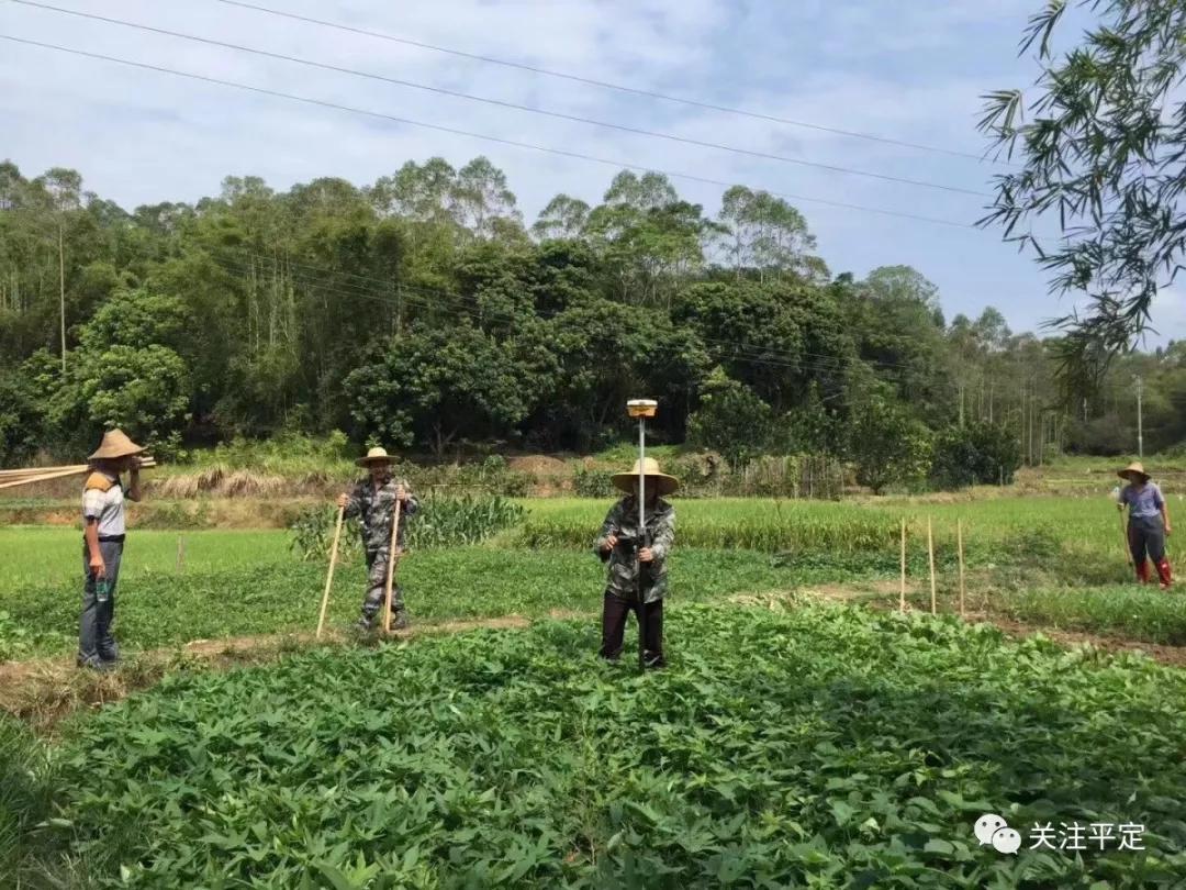吉林森工小道最新动态与相关论述揭秘