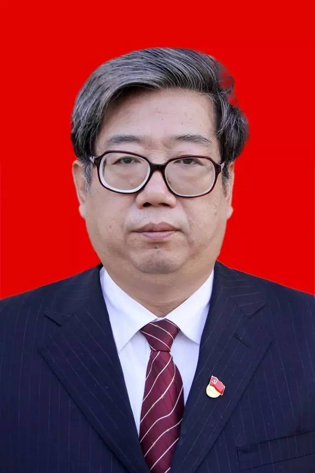 巢湖市委常委最新任免，城市领导层的新变动