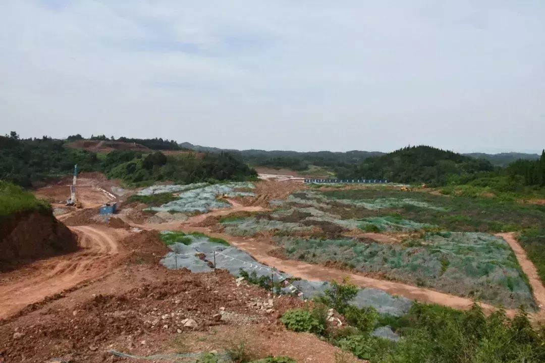 万源机场最新消息揭秘，温馨日常故事首度曝光