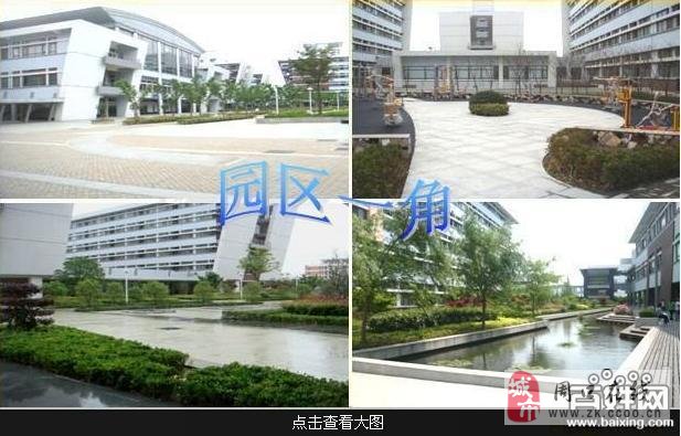 石岩泰科电子最新招聘，小巷中的职业宝藏等你来发掘！