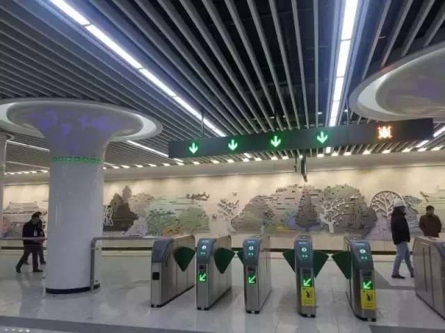 合肥地铁6号线站点探秘，自然美景之旅，内心平静之旅开启
