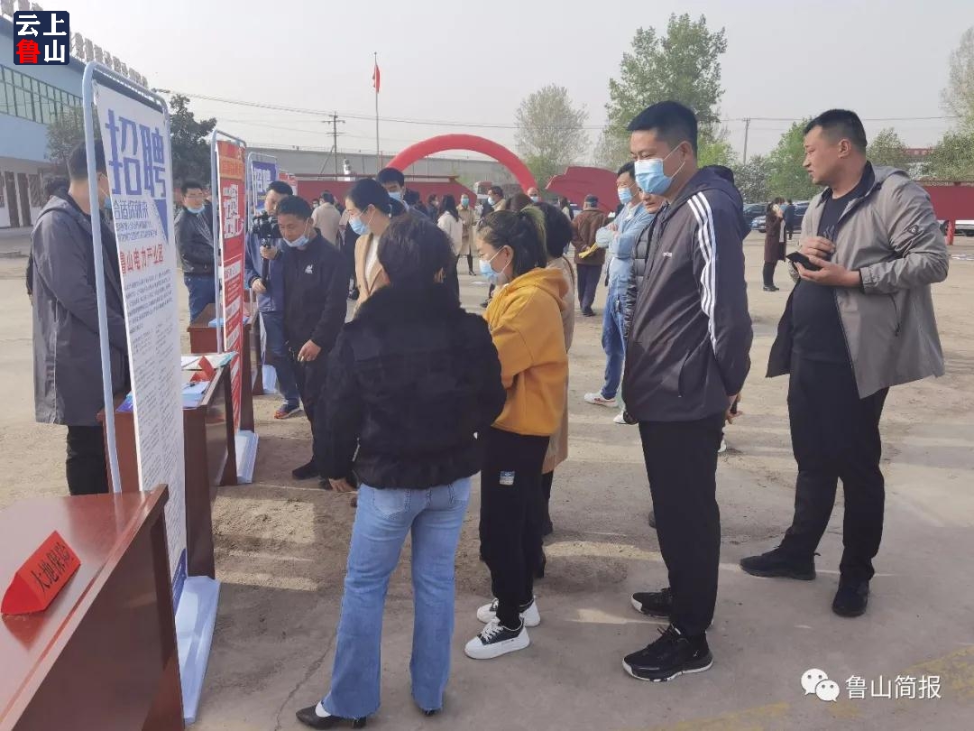 鲁山最新招聘信息汇总✨