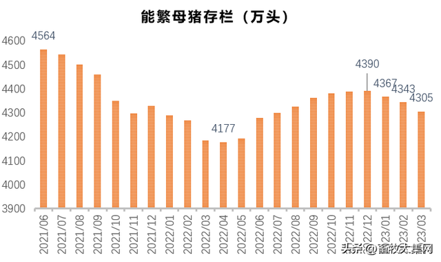 母猪存栏最新数据及其获取步骤指南