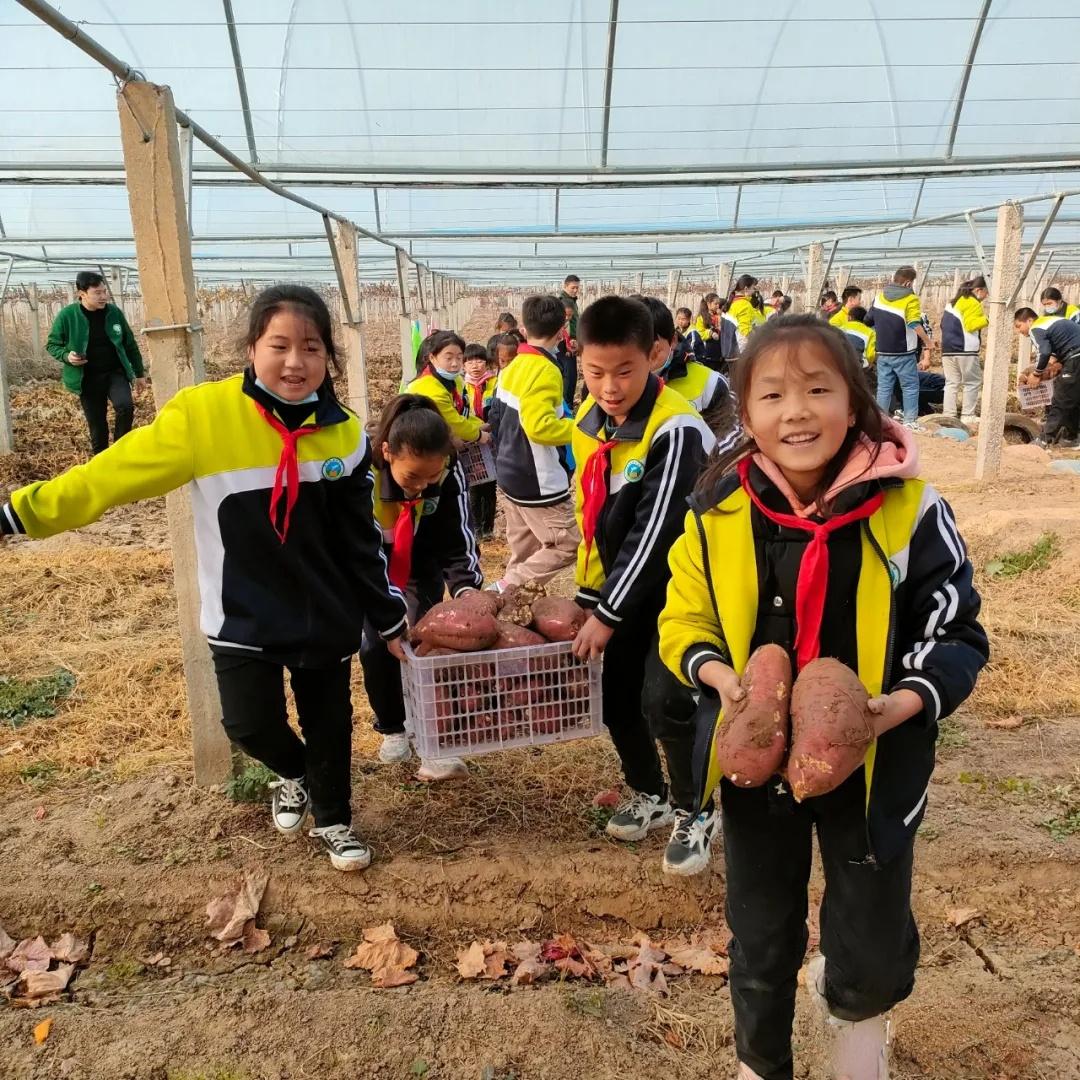 阎良关山最新动态，自然美景探索之旅，追寻内心平和与宁静的旅程