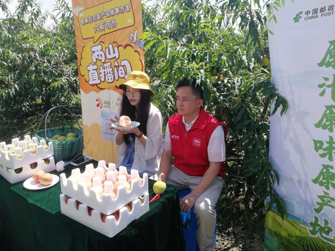 湖州汛情最新动态，观点论述与概述