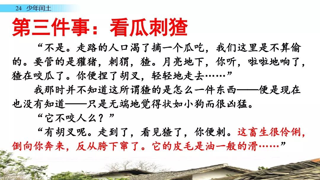 ww77766开奖结果最霸气二四六,动态解读分析_无线版24.981