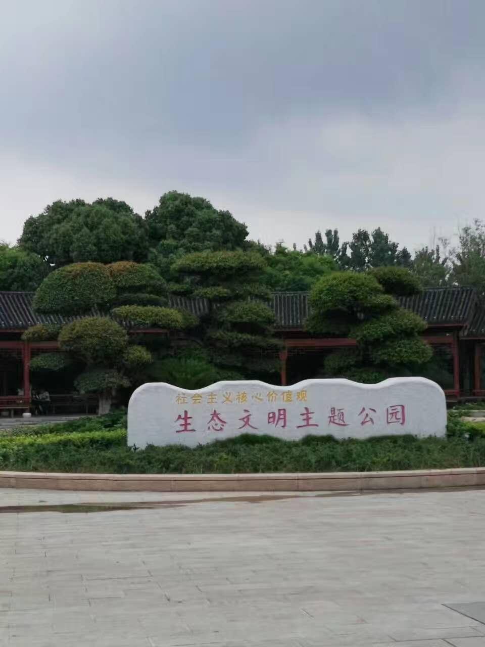 书法艺术中心 第371页