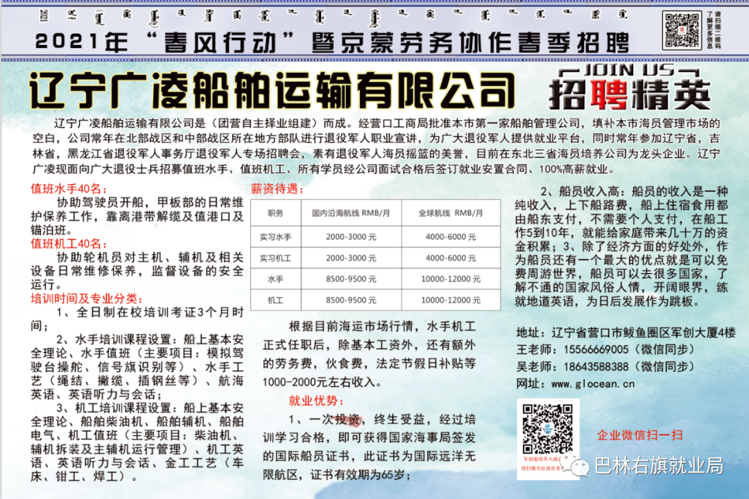 藁城最新会计信息招聘概览