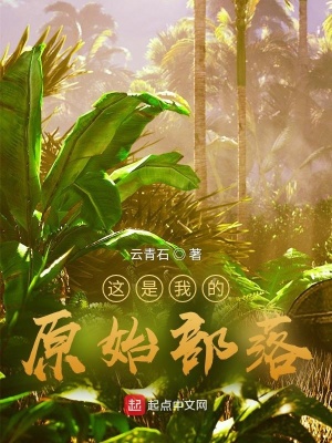 一品天才最新章节列表与自然美景之旅，追寻内心的平和与喜悦