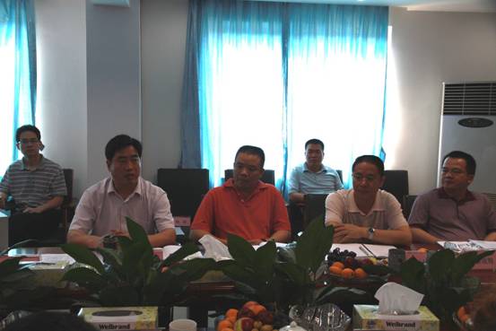 广东省田碧峰最新动态全解析，最新动态指南