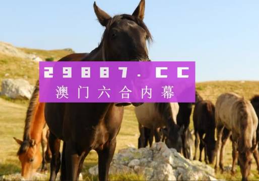 2023澳门管家婆资料正版大全,快速问题处理_智慧共享版22.274