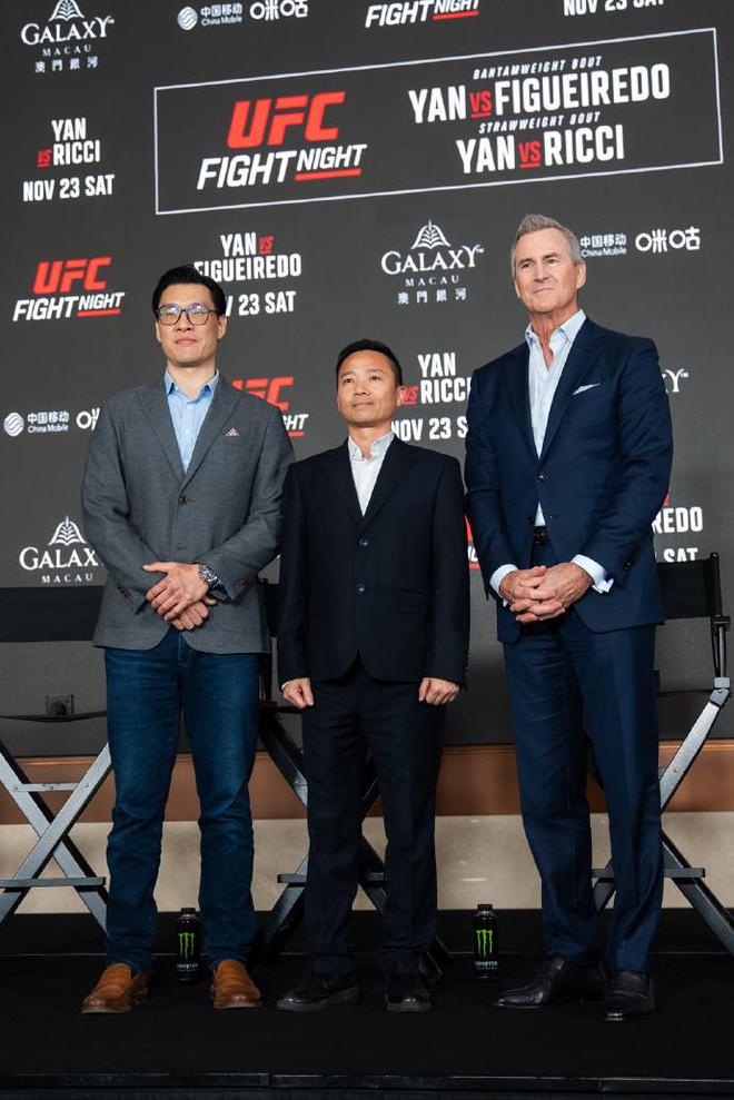 最新综合格斗，运动魅力的展现之战