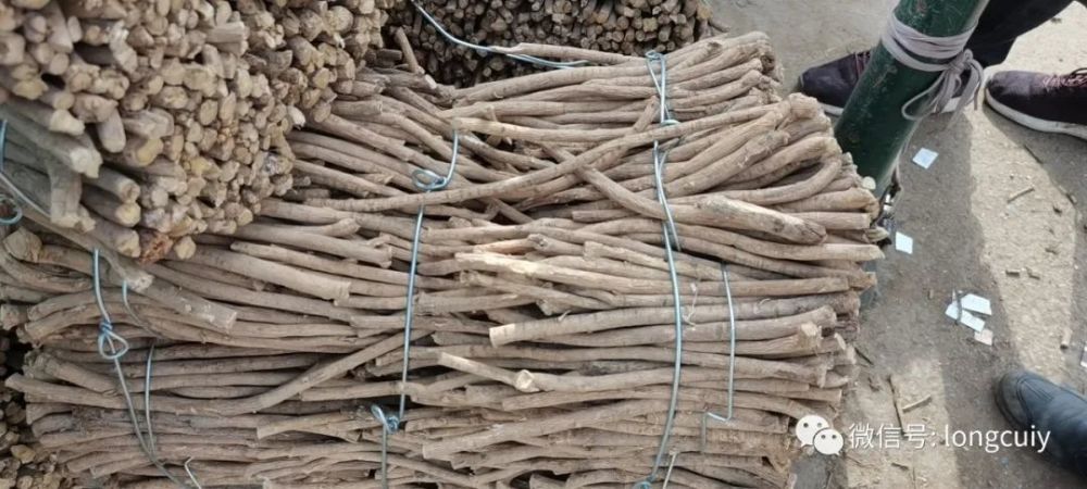 安国黄芪最新价格，科技重塑传统，焕新颜的黄芪行情分析