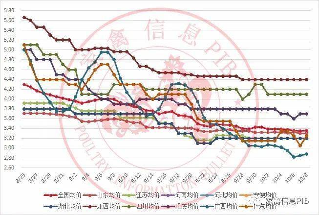 毛鸭价格最新报价，背景、动态与特定领域地位分析