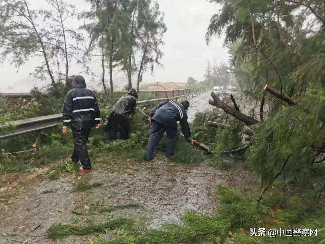 台风查帕卡最新动态及应对准备指南