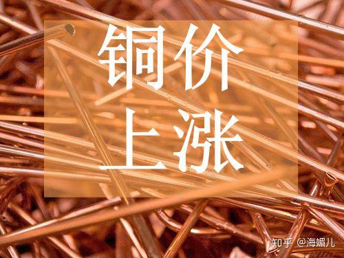 第555页
