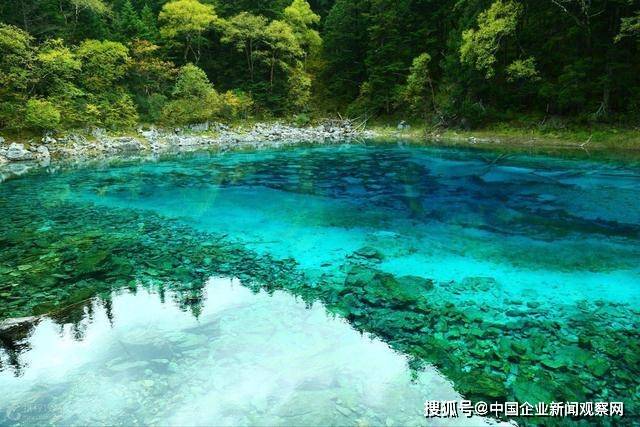探索自然美景之旅，最新博客分享内心的平和乐园