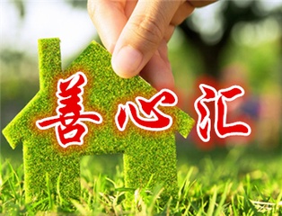 第511页