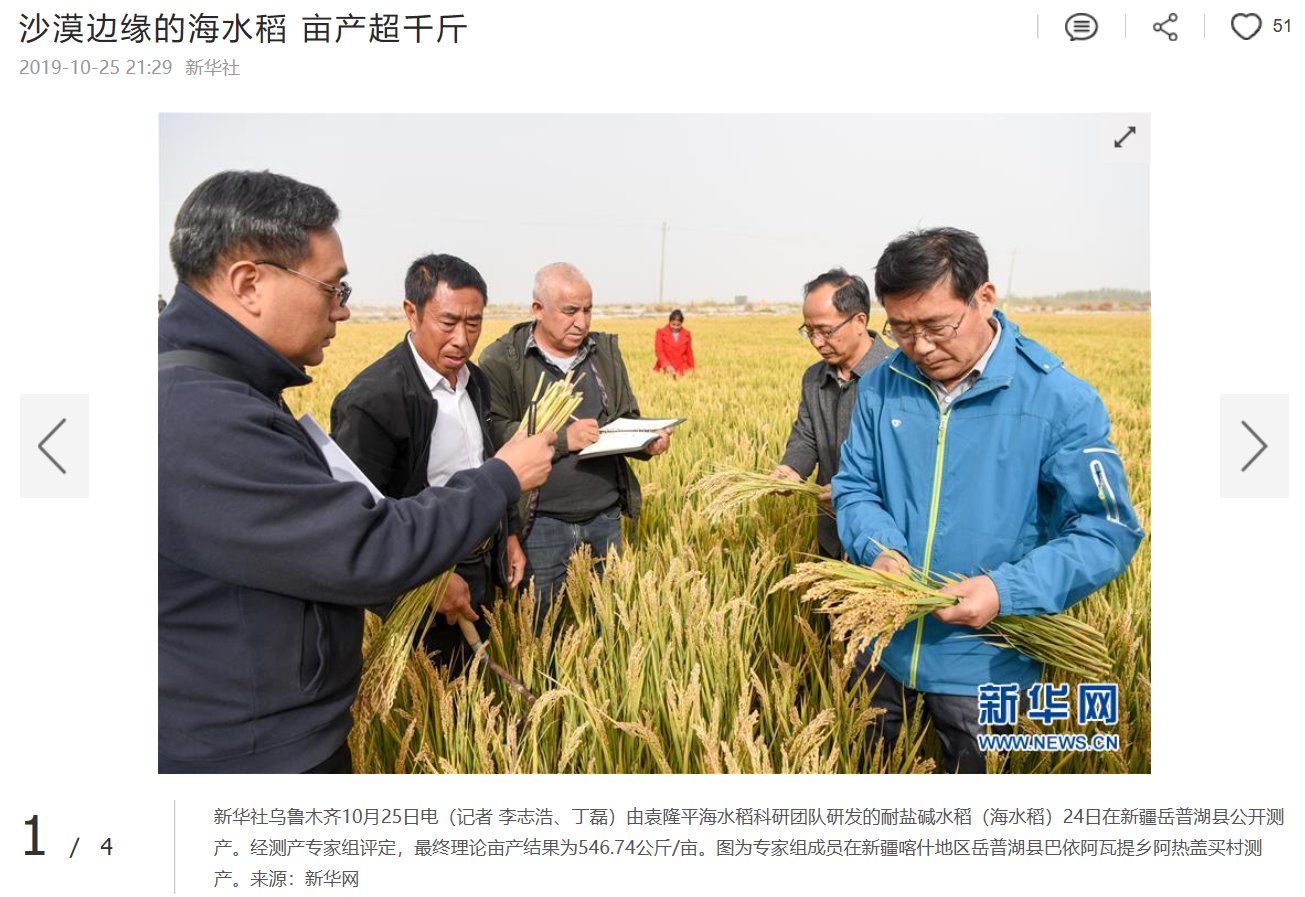 隆平高科最新动态，探索自然美景之旅，寻找内心平和的旅程