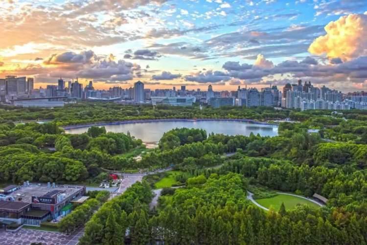最新手机销量报告，探索自然美景之旅，寻找内心宁静与平和的力量
