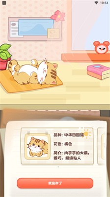 猫咪最新破解版apk获取与安装全攻略，初学者与进阶用户的首选指南
