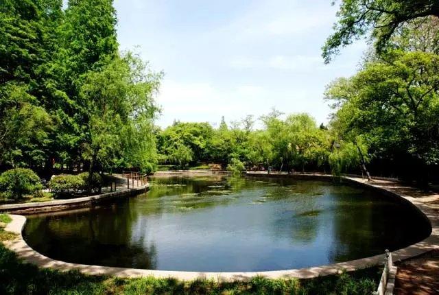 青岛房价走势揭秘，最新消息与巷弄特色小店对城市房价的影响