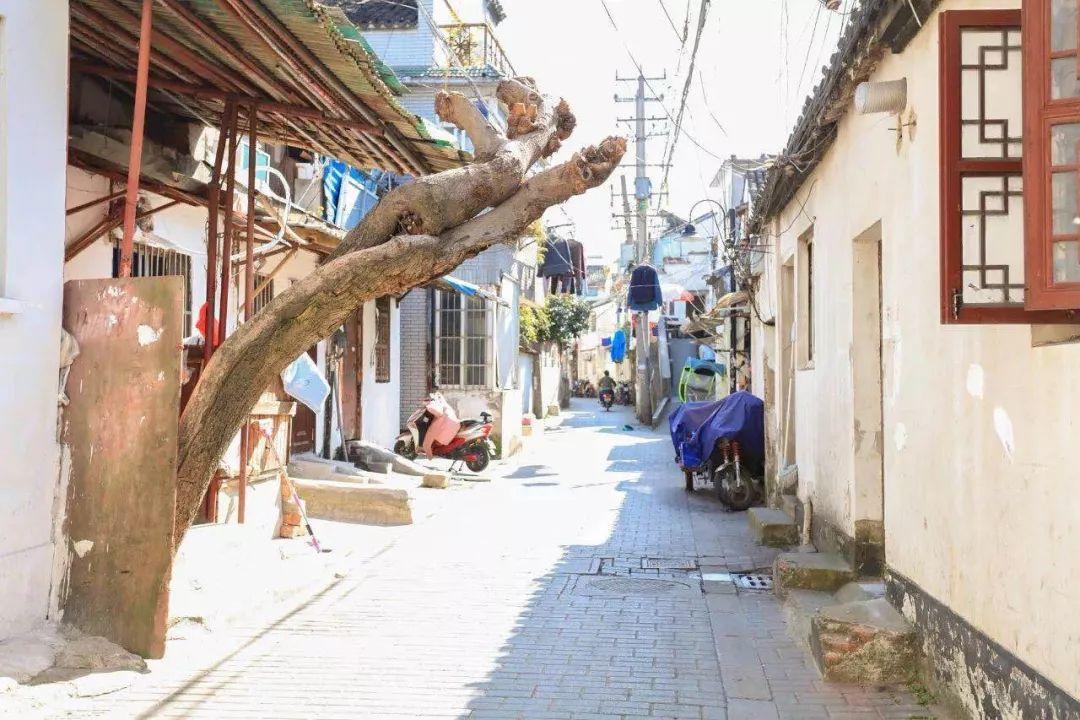 最新奥特曼动画片，小巷深处的宝藏小店揭秘