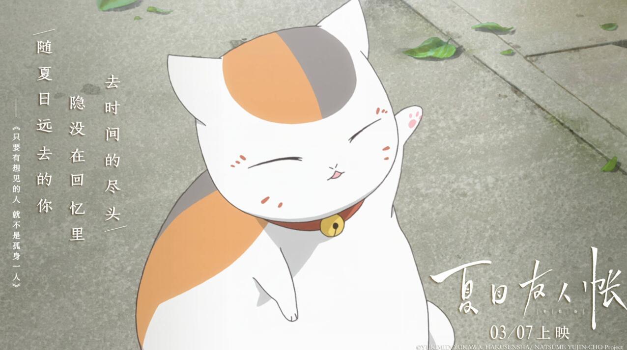 猫咪最新破解版app，与自然美景的邂逅，探索内心平和的旅程