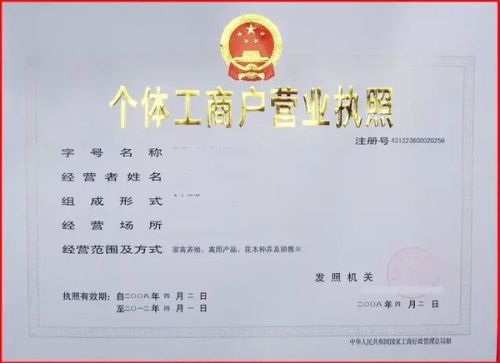 探析最新版营业执照变革及其影响，变革观点解析